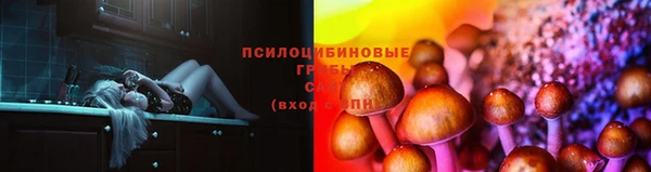 Альфа ПВП Абдулино