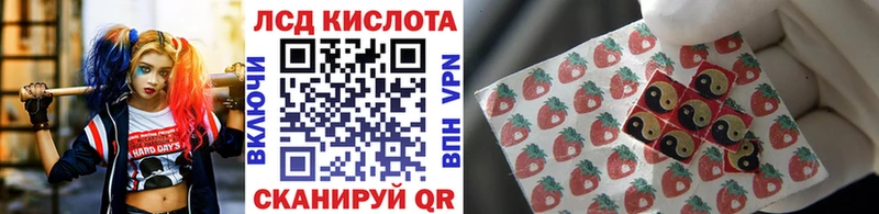 Марки N-bome 1500мкг  KRAKEN онион  Камышлов 