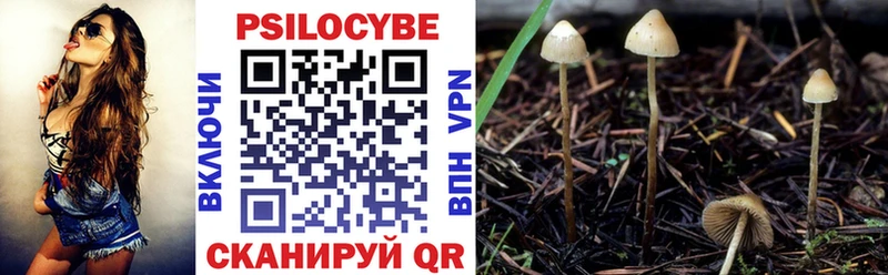 купить наркотик  нарко площадка Telegram  Псилоцибиновые грибы мицелий  Камышлов  hydra ONION 