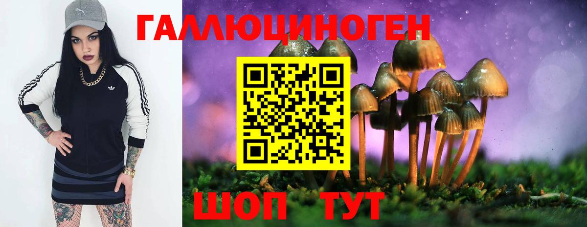 Псилоцибиновые грибы мицелий  Вход с VPN  Камышлов  Галлюциногенные грибы ЛСД 