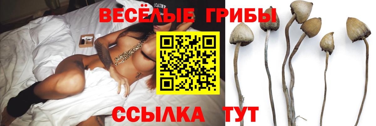 Галлюциногенные грибы Magic Shrooms Камышлов